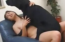 Free Animal Porn