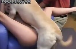 Zoofilia Porn video